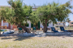 Elisabetta - Alcudia